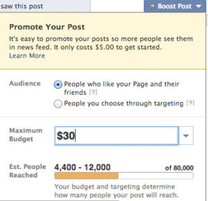 Paid-Ads-can-do-the-trick
