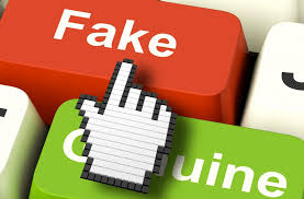 fake citations