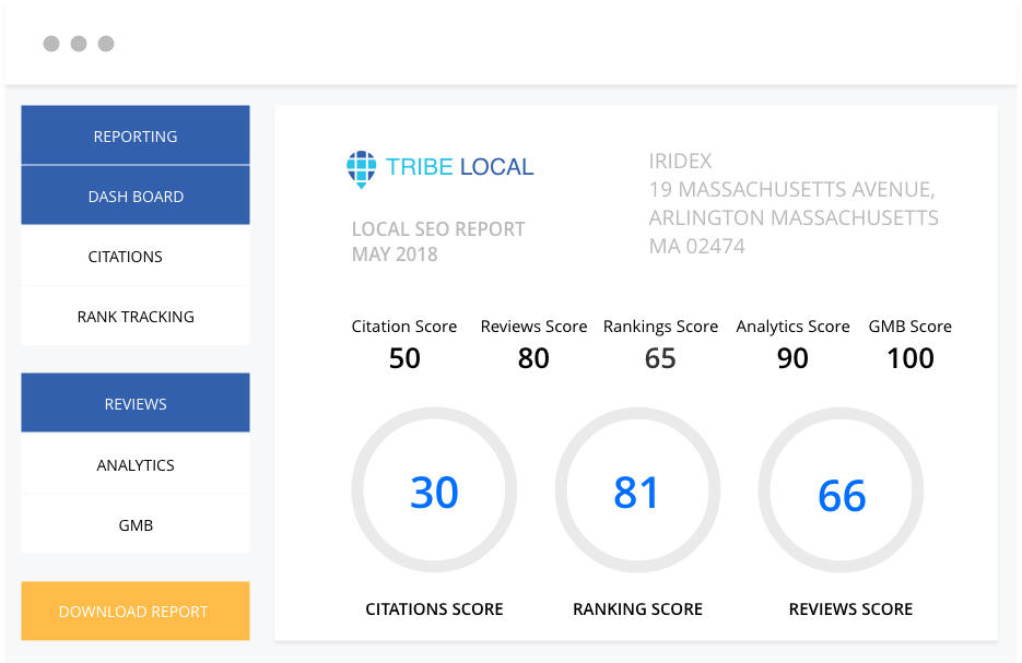 Fast and accurate local seo reports
